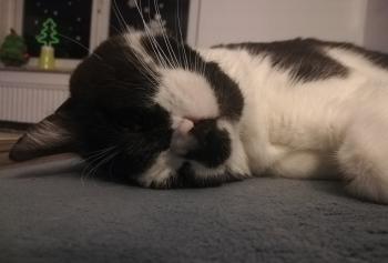 Naana Bild von Naana