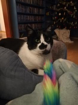 Naana Bild von Naana