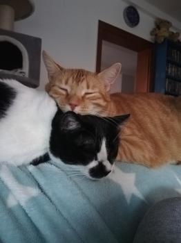 Naana Bild von Naana