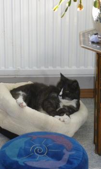 Susi Bild von Susi