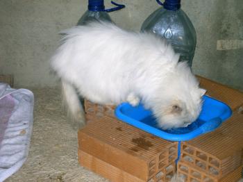 Blanca Bild von Blanca