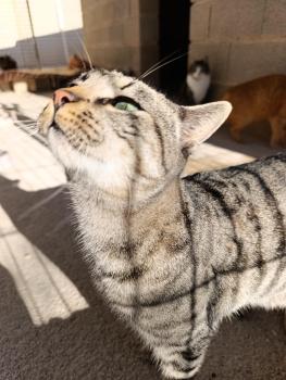 Marty Bild von Marty