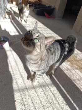 Marty Bild von Marty