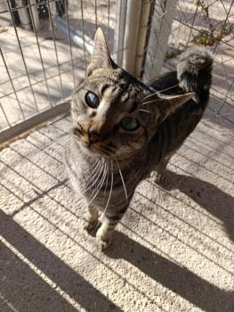 Marty Bild von Marty