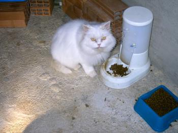 Blanca Bild von Blanca
