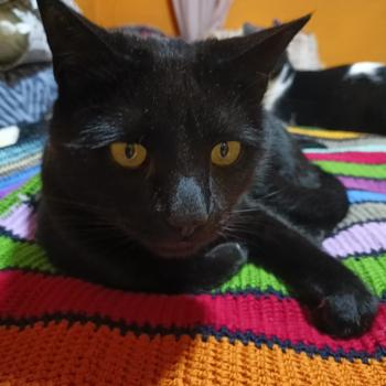 Rocky Bild von Rocky