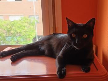 Rocky Bild von Rocky