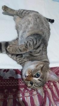 Bimba Bild von Bimba