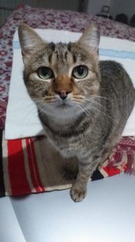 Bimba Bild von Bimba