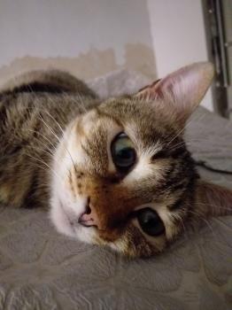 Bimba Bild von Bimba