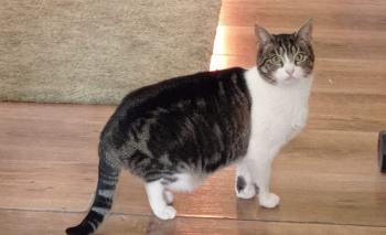 Nika Bild von Nika