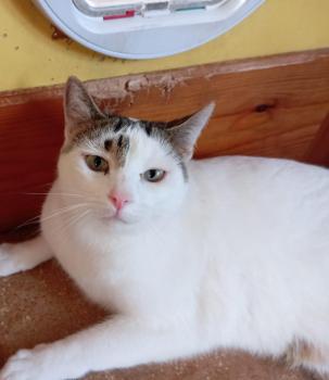 Porthos Bild von Porthos