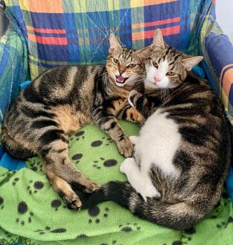 Oliver Bild von Oliver