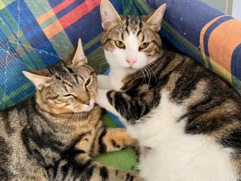 Oliver Bild von Oliver