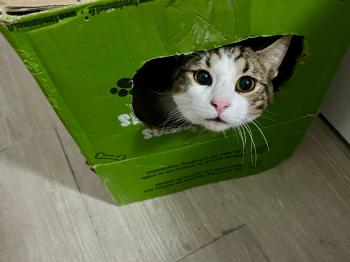 Oliver Bild von Oliver