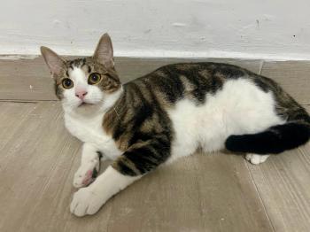 Oliver Bild von Oliver