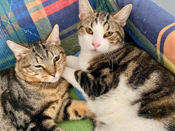 Oliver Bild von Oliver