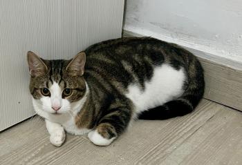 Oliver Bild von Oliver
