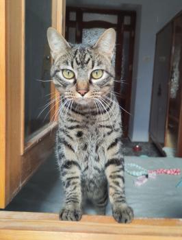 Ray Bild von Ray