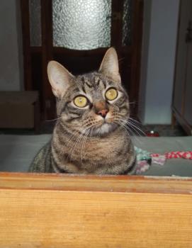 Ray Bild von Ray