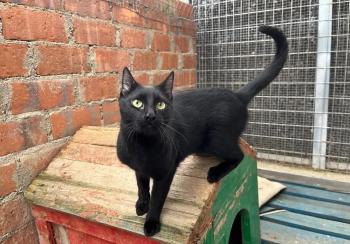 Armani Bild von Armani