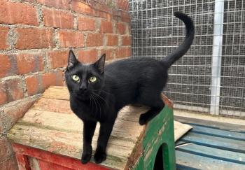 Armani Bild von Armani