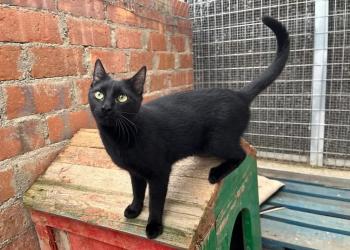 Armani Bild von Armani