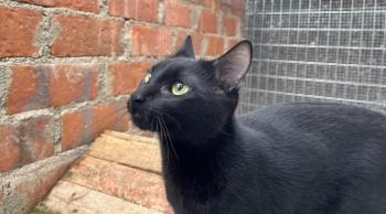 Armani Bild von Armani