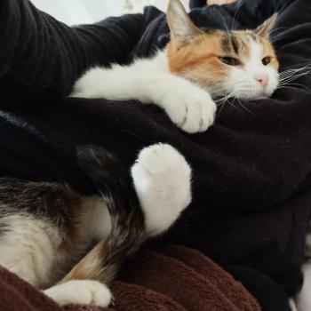 Caterina Bild von Caterina
