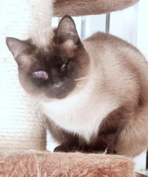 Silvana Bild von Silvana