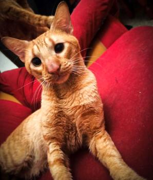 Fred Bild von Fred