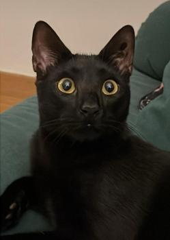 Milo Bild von Milo