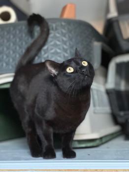 Milo Bild von Milo