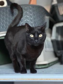 Milo Bild von Milo