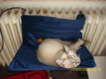 Bild von Sammy
