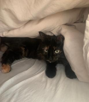 Bild von Matilda