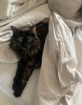 Bild von Matilda