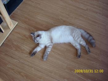 Bild von Sammy