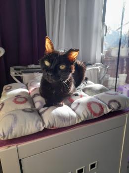 Bild von Bella