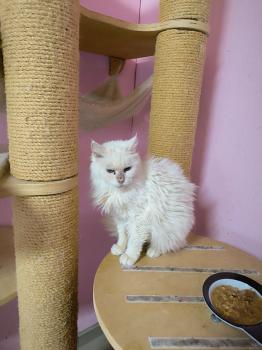 Bild von Jazmin