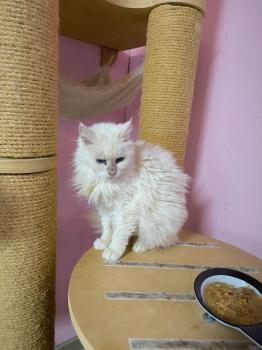 Bild von Jazmin