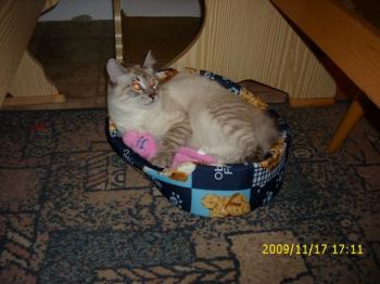 Bild von Sammy