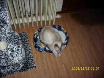 Bild von Sammy