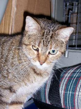 Natasha Bild von Natasha