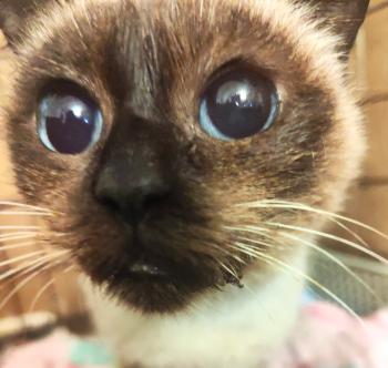 Cloe Bild von Cloe