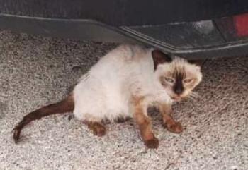 Cloe Bild von Cloe