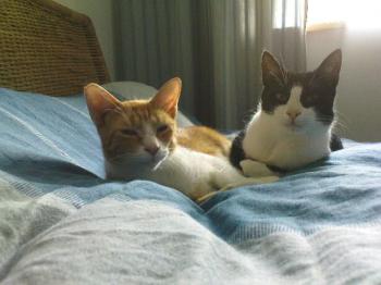 Bibo und Genoveva Bild von Bibo