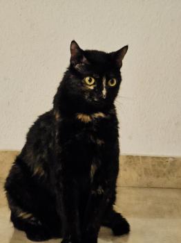 Muriel Bild von Muriel