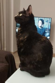 Muriel Bild von Muriel
