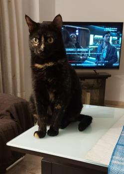 Muriel Bild von Muriel